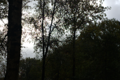 20251025_132657
