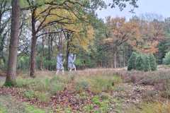 IMG-20251025-WA0009