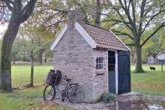 IMG-20251025-WA0012