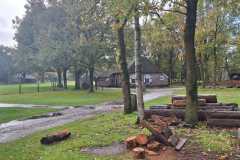 IMG-20251025-WA0014