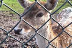 IMG-20251025-WA0015