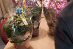 IMG-20230425-WA0018