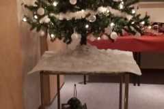 IMG-20221218-WA0028